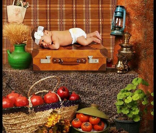 عکس یلدا در طبیعت