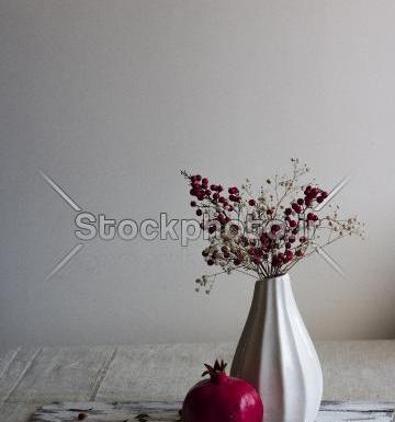 عکس یلدا در طبیعت