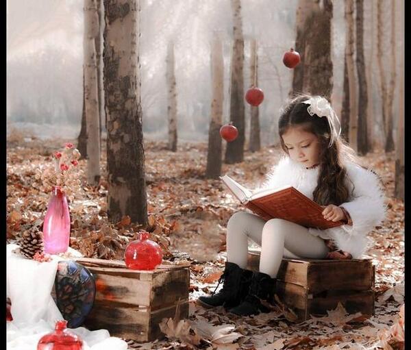 عکس یلدا در طبیعت