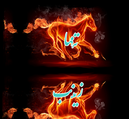 عکس نوشته زینب محرمی
