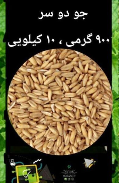 عکس جو با پوست