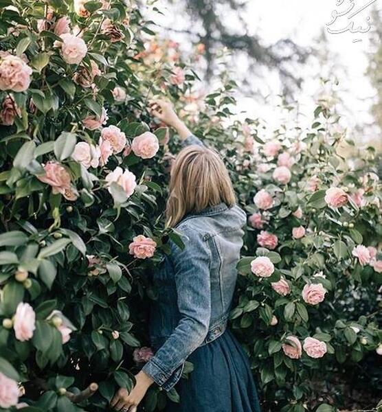 عکس دختر زیبا برای پشت صفحه