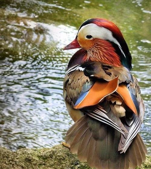 عکسهای زیبا از طبیعت خدا
