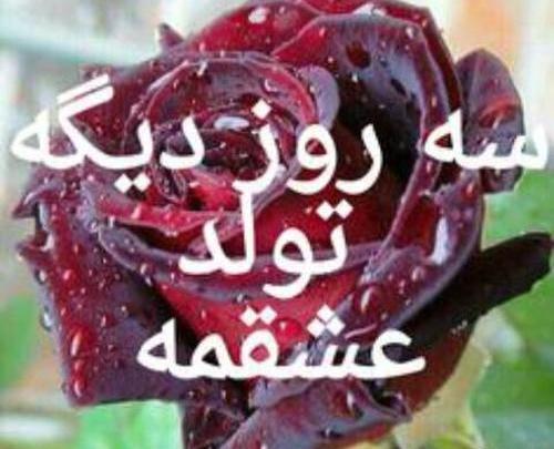 عکس عشقم تولدت پیشاپیش مبارک