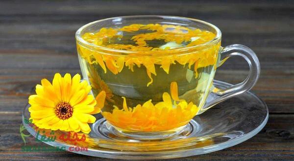 عکس گل همیشه بهار