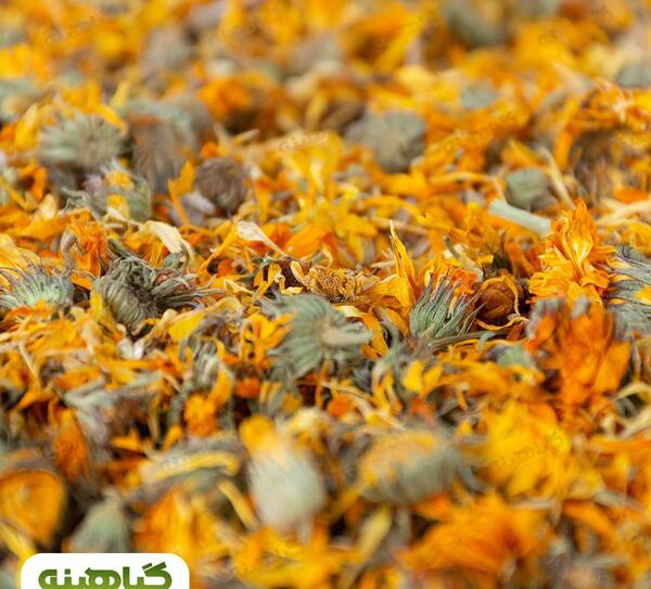 عکس گل همیشه بهار