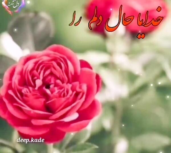 عکس خدایا حال دلمو خوب کن