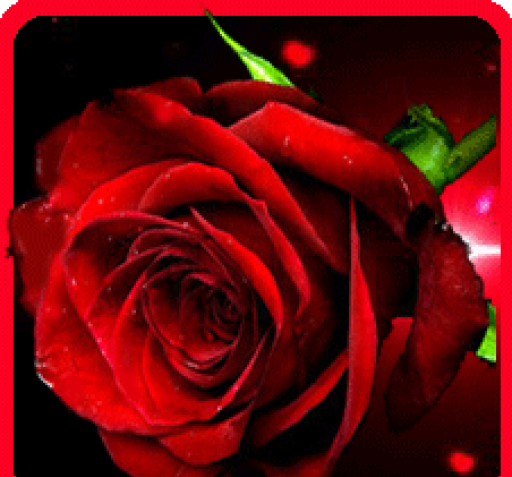 عکس کلبه خاطره ها