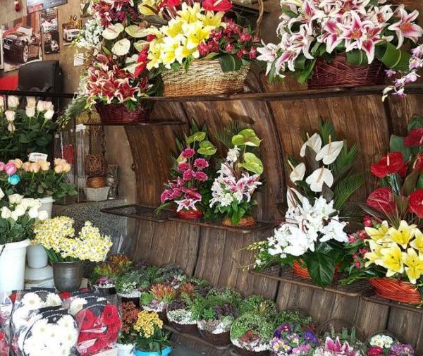 عکس زیباترین دختر گلفروش تهران