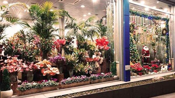 عکس زیباترین دختر گلفروش تهران