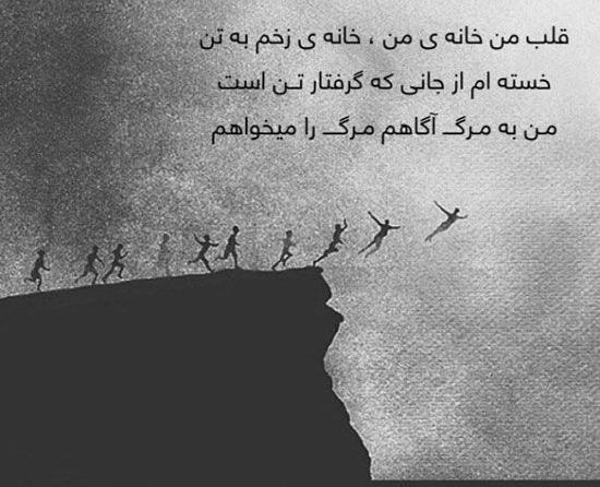 عکس نوشته های حمید جدیدی