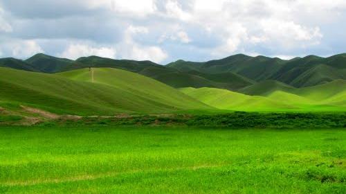 عکس طبیعت ساده