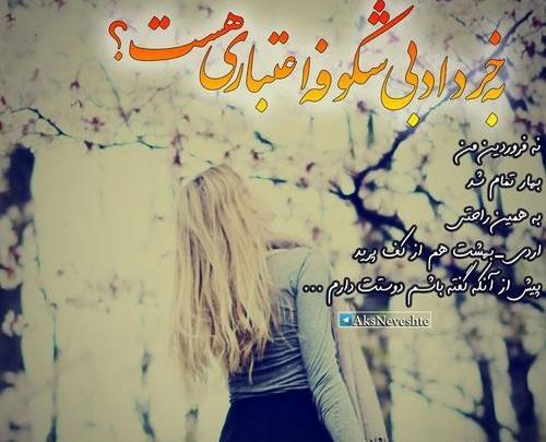 عکس نوشته شکوفه انگلیسی