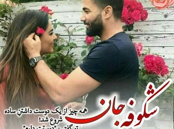عکس نوشته شکوفه انگلیسی