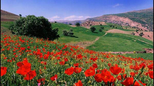 عکس منظره زیبا با کیفیت بالا
