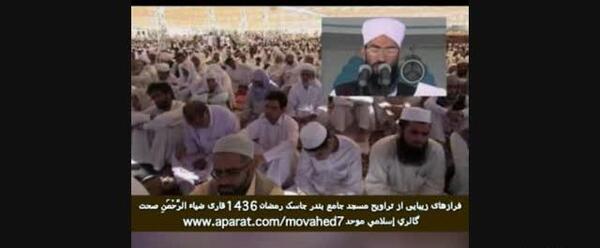 عکس ضیاء الرحمن صحت