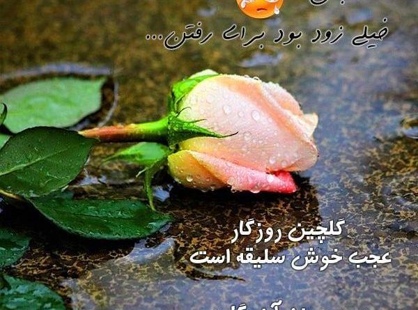 عکس نوشته دلتنگتم خاله جون