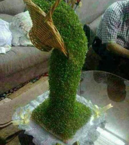 عکس های سبزه ی عید نوروز