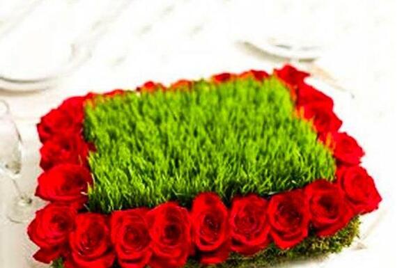 عکس های سبزه ی عید نوروز