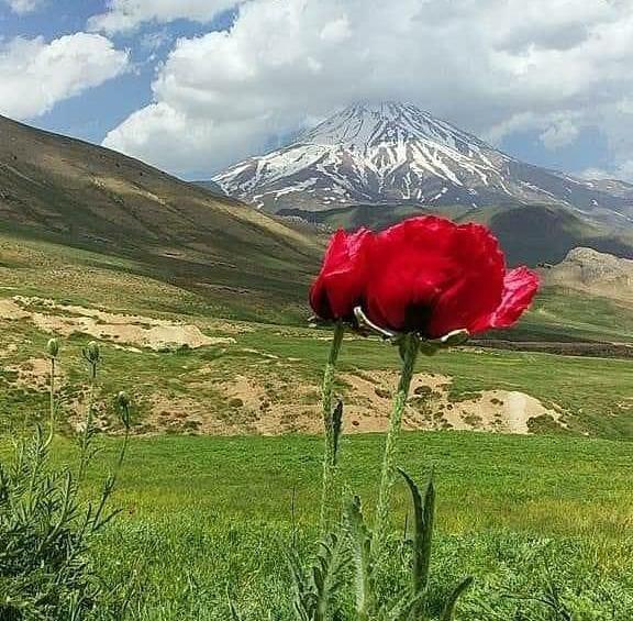 عکس بهار طبیعت زیبا