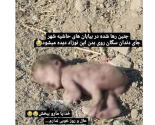 عکس نوزاد رها شده در بیابان اصفهان