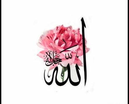 عکس الله صورتی