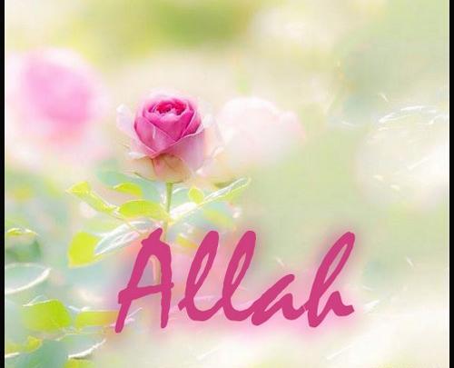 عکس الله صورتی