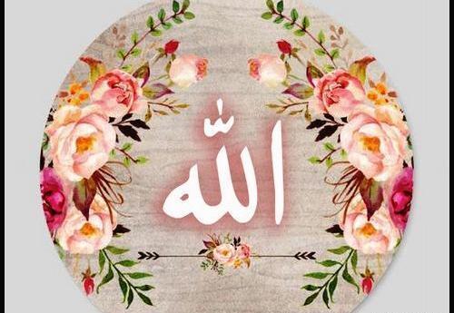 عکس الله صورتی
