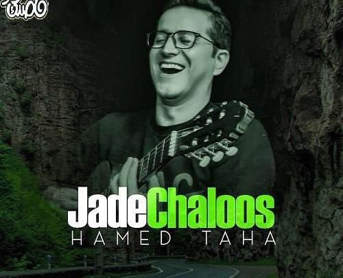 عکس حامد طاها خواننده