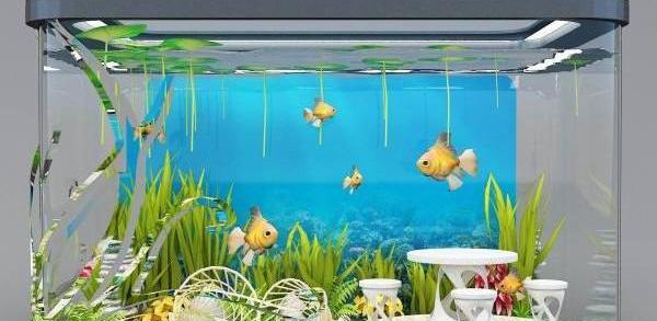 عکس ایده تزیین آکواریوم خانگی