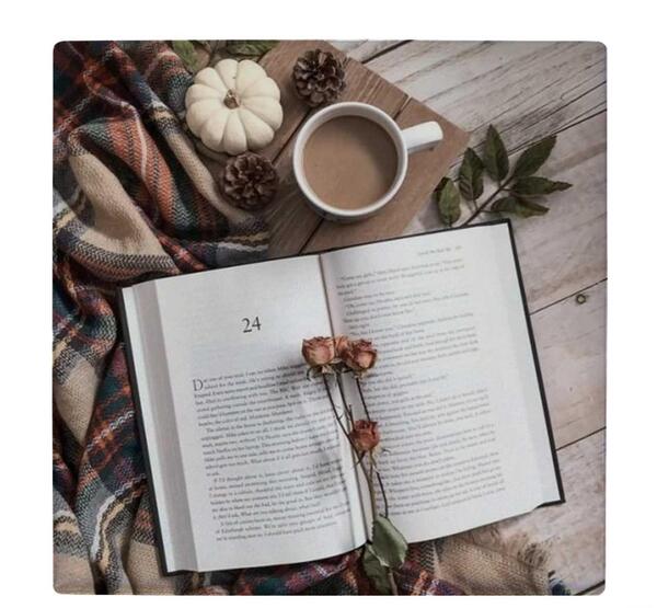 عکس گل سرخ لای کتاب