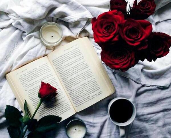 عکس گل سرخ لای کتاب