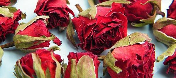 عکس گل سرخ لای کتاب