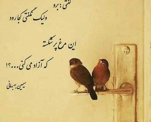 عکس نوشته سیمین بهبهانی