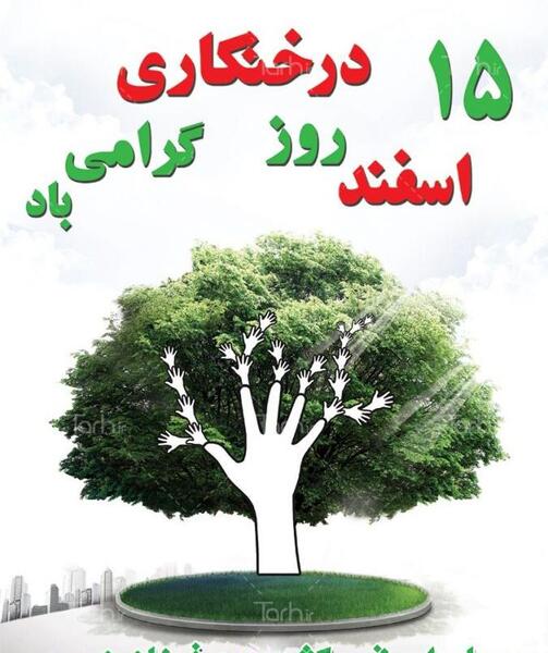 عکس مفهومی درخت
