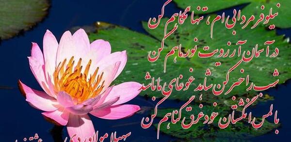 عکس نوشته شعر نیلوفر