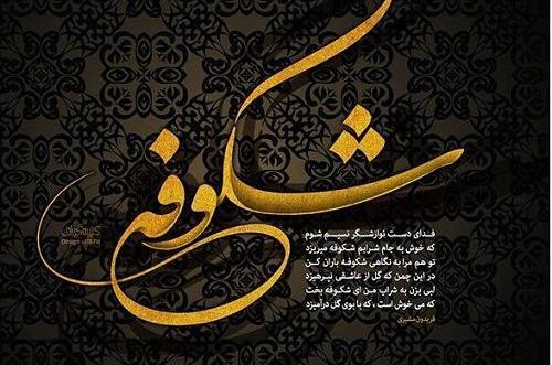 عکس نوشته اسم شکوفه به انگلیسی