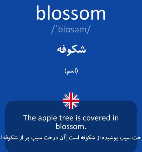عکس نوشته اسم شکوفه به انگلیسی