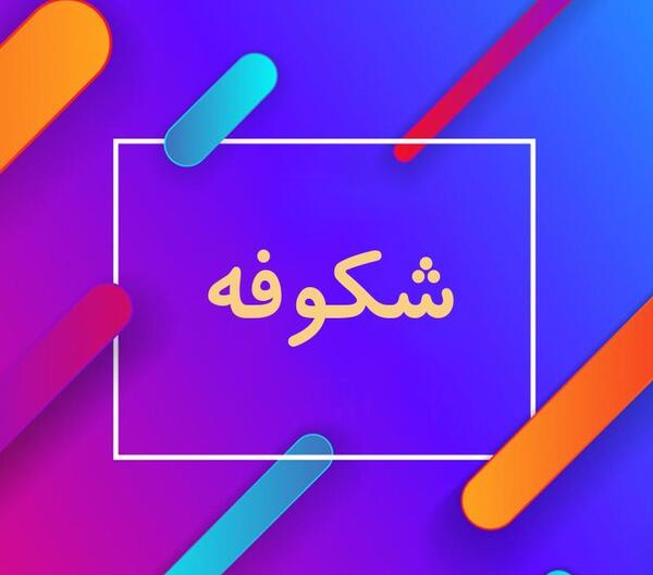 عکس نوشته اسم شکوفه به انگلیسی