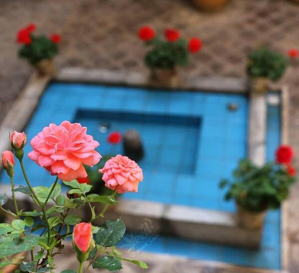 عکس بهار اردیبهشت