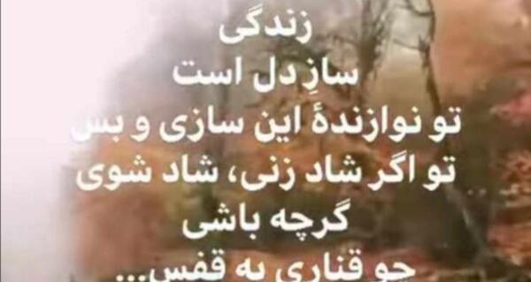 عکس نوشته زندگی ساز دل است