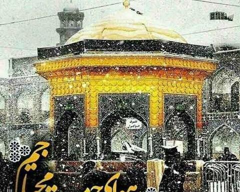 عکس نوشته ممنونم امام رضا که رام دادی تو حرمت