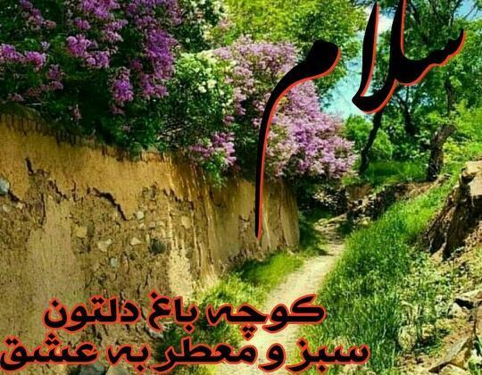 عکس ظهر بخیر برای دوستان