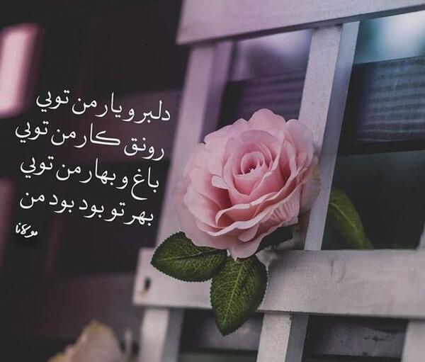 عکس پروفایل شیک ناز