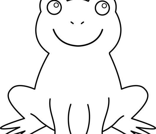 عکس ساده قورباغه