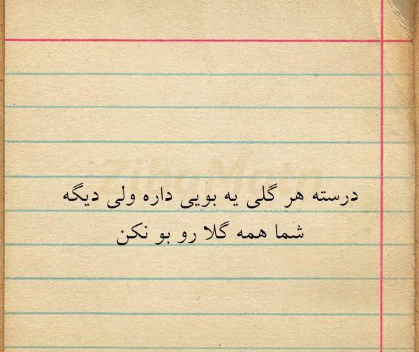 عکس نوشته هر گلی یه بویی داره