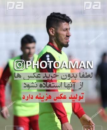 عکس شایان ذبیحی