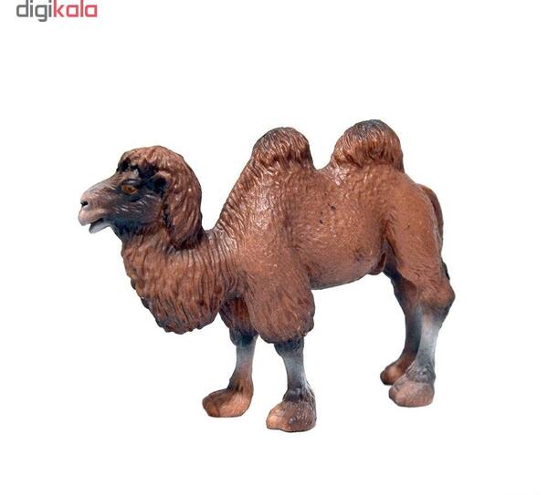 عکس شتر سه کوهان