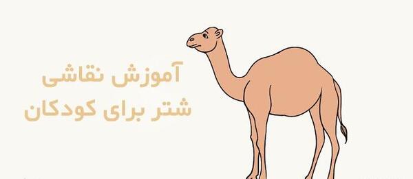 عکس شتر سه کوهان