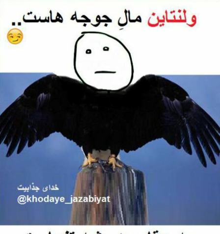 عکس عقاب همیشه تنهاست